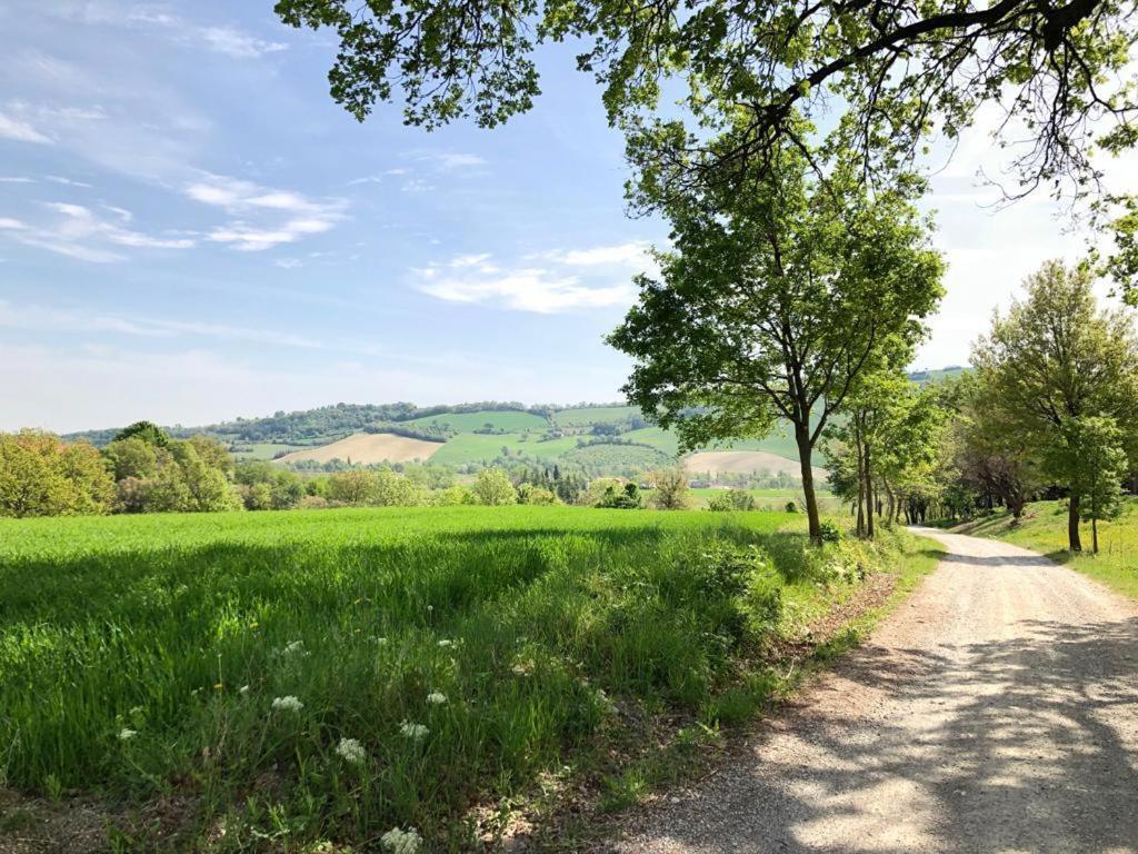 Agriturismo Molino Nuovo 圣彼得罗-泰尔梅堡 外观 照片
