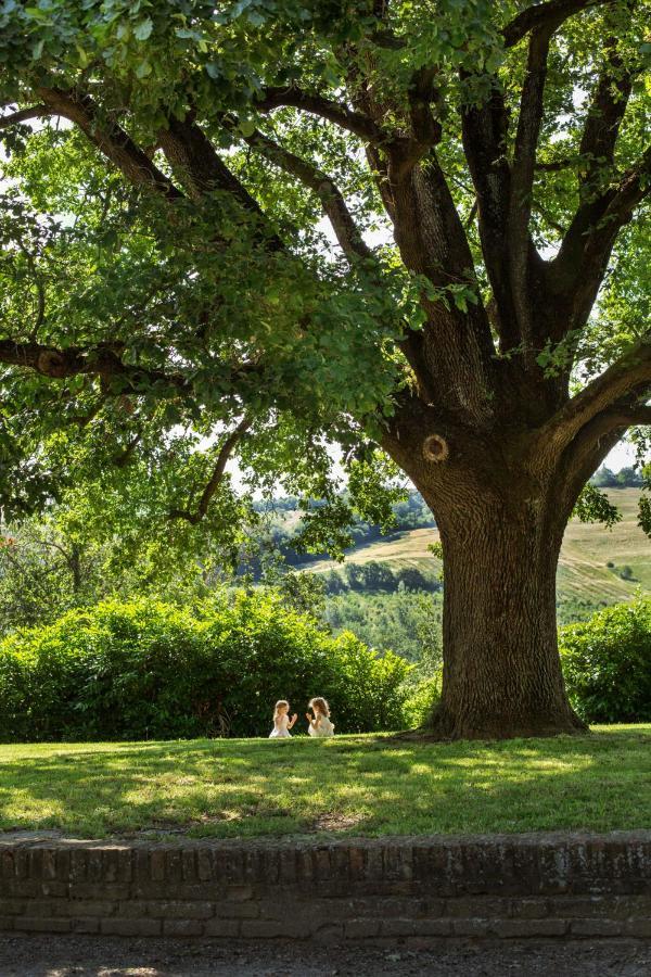 Agriturismo Molino Nuovo 圣彼得罗-泰尔梅堡 外观 照片