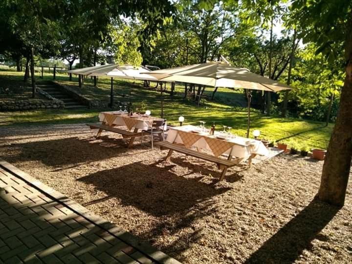 Agriturismo Molino Nuovo 圣彼得罗-泰尔梅堡 外观 照片